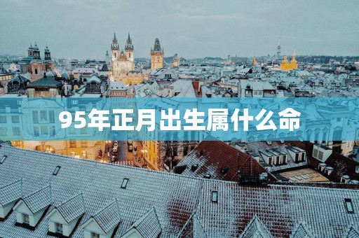 95年正月出生属什么命