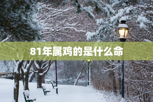 81年属鸡的是什么命