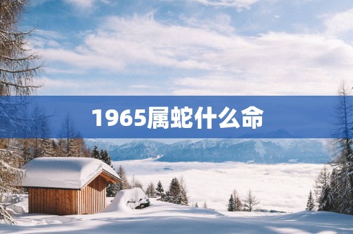 1965属蛇什么命