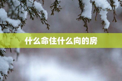什么命住什么向的房