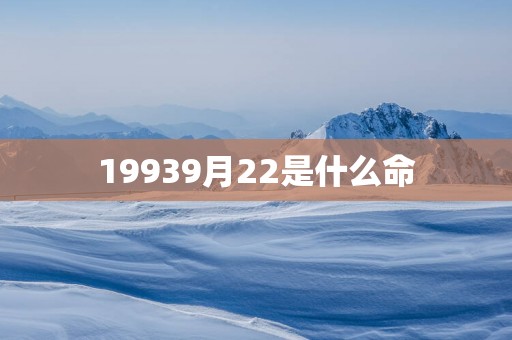 19939月22是什么命