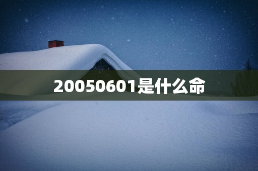 20050601是什么命