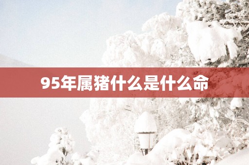 95年属猪什么是什么命