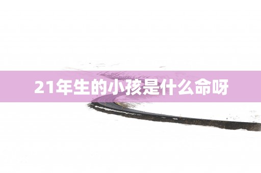 21年生的小孩是什么命呀
