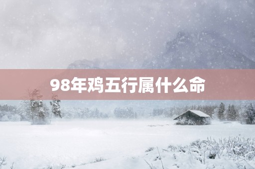 98年鸡五行属什么命