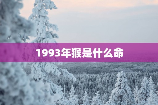 1993年猴是什么命