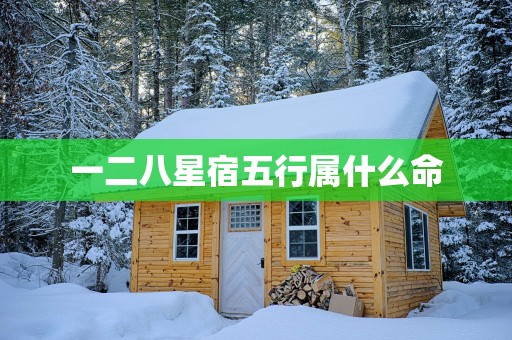 一二八星宿五行属什么命