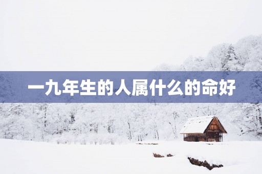 一九年生的人属什么的命好