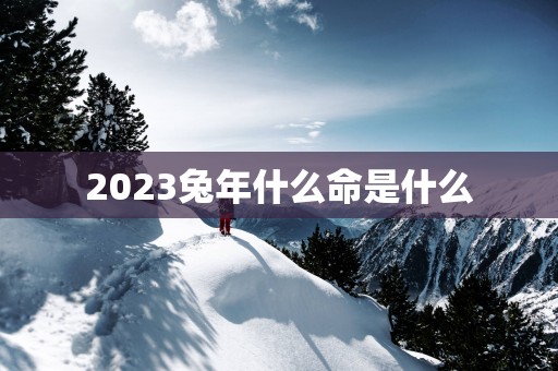 2025蛇年什么命是什么