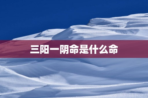三阳一阴命是什么命