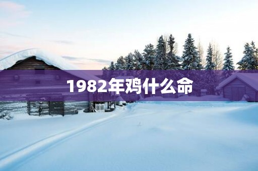 1982年鸡什么命
