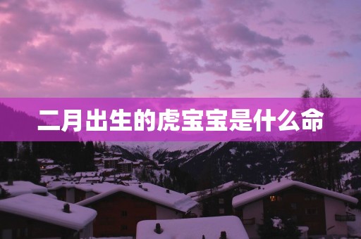 二月出生的虎宝宝是什么命