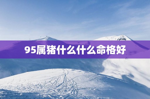 95属猪什么什么命格好