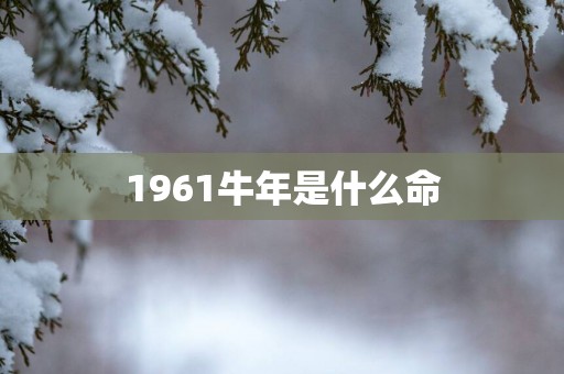 1961蛇年是什么命