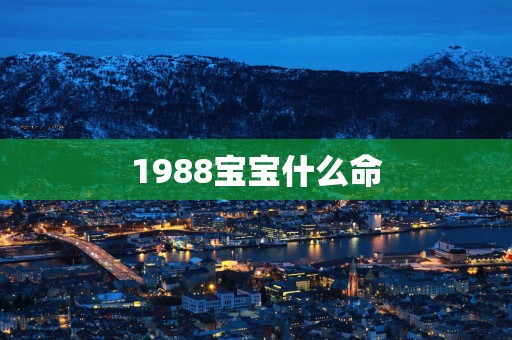 1988宝宝什么命