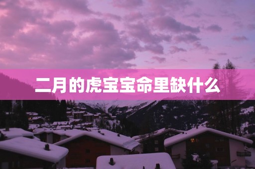 二月的虎宝宝命里缺什么