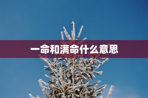 一命和满命什么意思