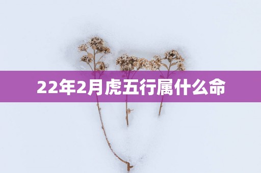 22年2月虎五行属什么命