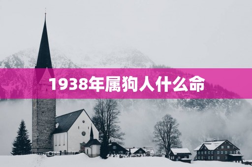 1938年属狗人什么命