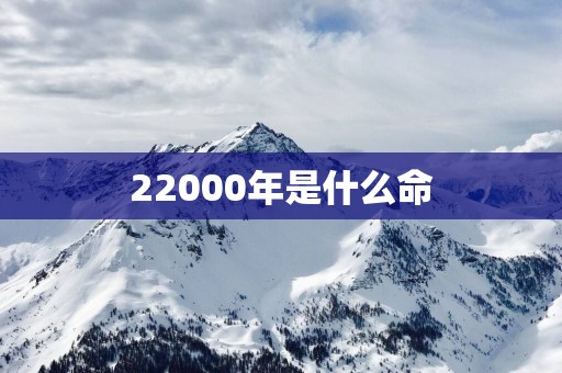 22000年是什么命