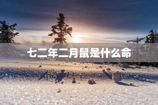 七二年二月鼠是什么命