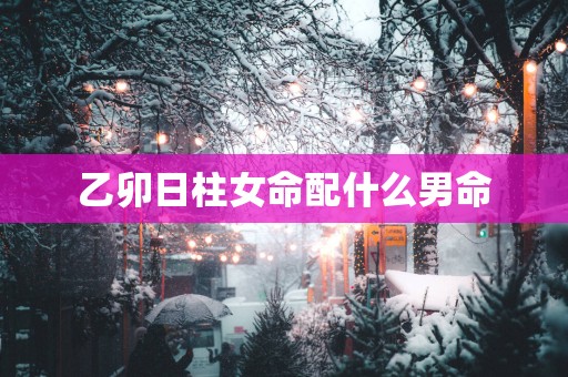 乙卯日柱女命配什么男命