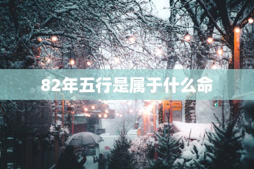82年五行是属于什么命
