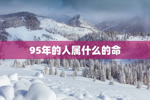 95年的人属什么的命