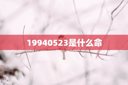 19940523是什么命