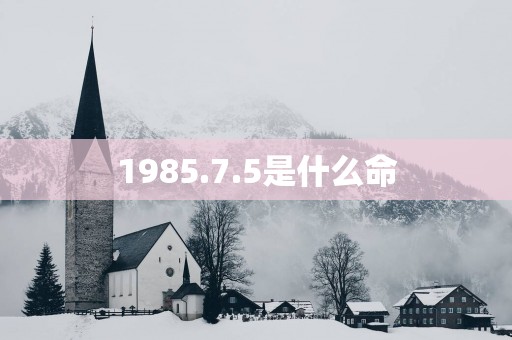 1985.7.5是什么命