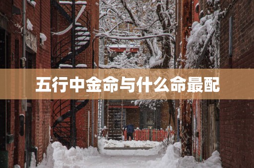 五行中金命与什么命最配