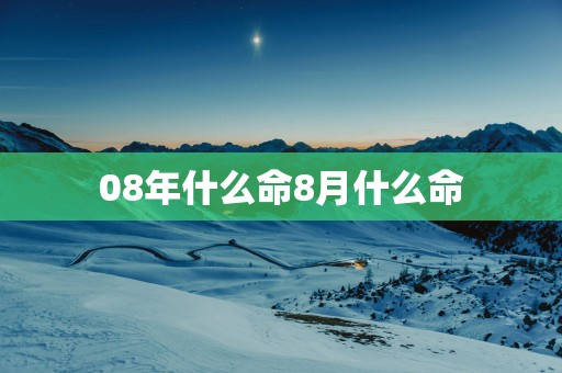 08年什么命8月什么命