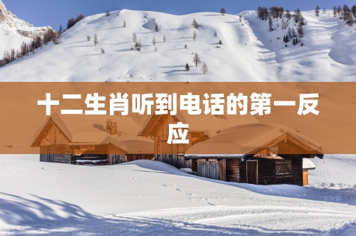 十二生肖听到电话的第一反应