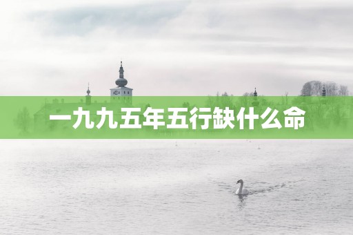 一九九五年五行缺什么命
