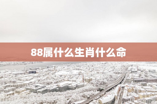 88属什么生肖什么命