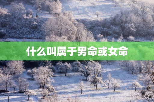 什么叫属于男命或女命