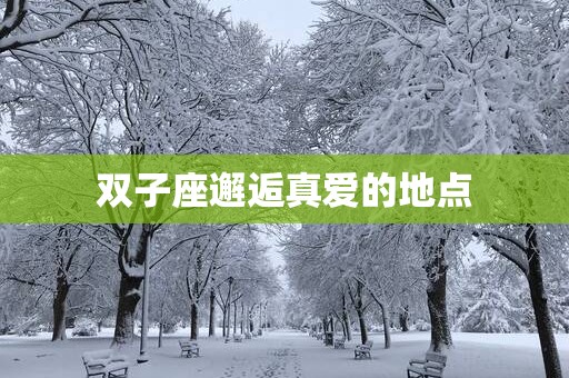 双子座邂逅真爱的地点