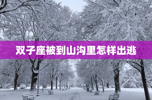 双子座被到山沟里怎样出逃