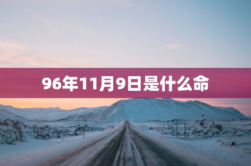 96年11月9日是什么命