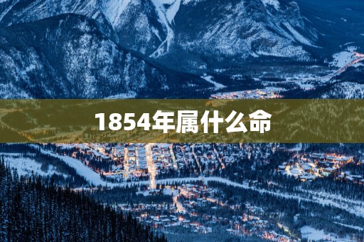 1854年属什么命