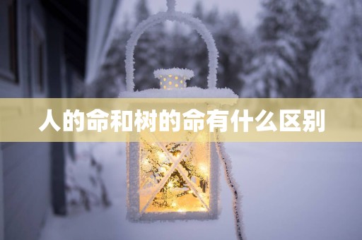 人的命和树的命有什么区别