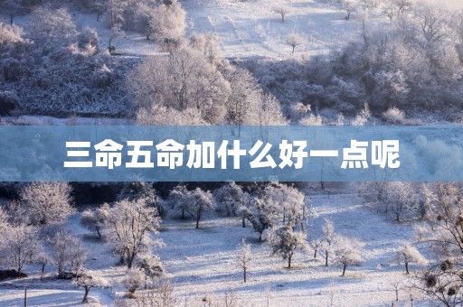 三命五命加什么好一点呢