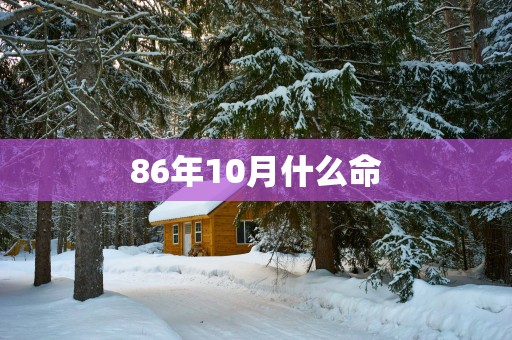 86年10月什么命