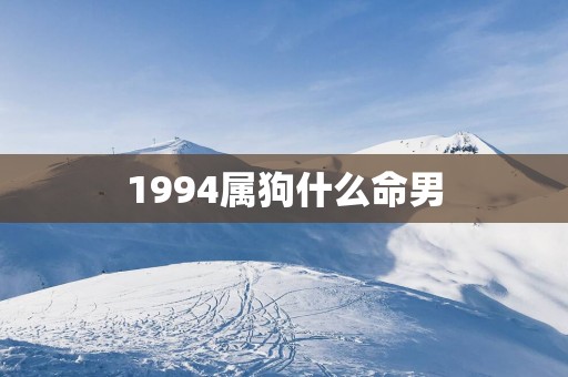 1994属狗什么命男