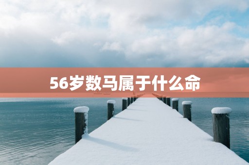 56岁数马属于什么命