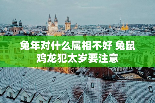 蛇年对什么属相不好 兔鼠鸡龙犯太岁要注意