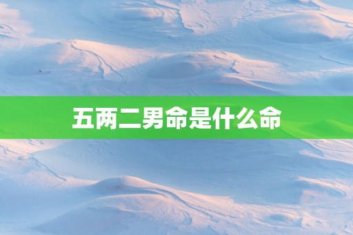 五两二男命是什么命