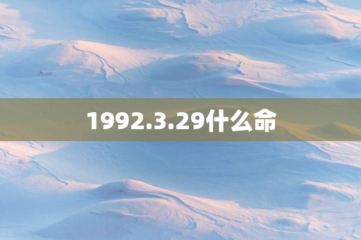 1992.3.29什么命