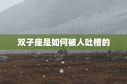 双子座是如何被人吐槽的