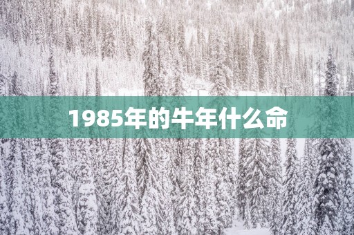 1985年的蛇年什么命